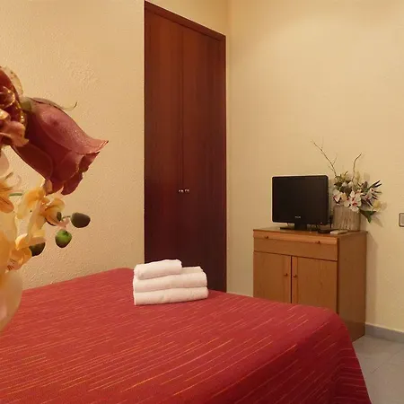 Hotel Aneto *